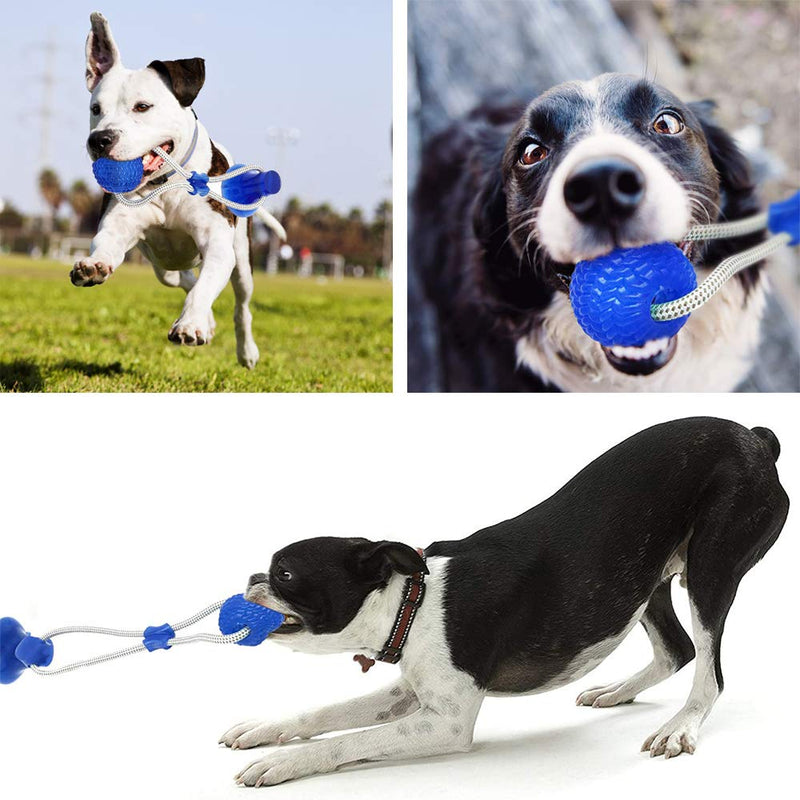 Suction Cup Dog Toy, Multifunction Pet Molar Bite Toy with Strong Rope and Powerful Suction Cup for Tug and Chewing, Helps Clean Teeth Blue - PawsPlanet Australia