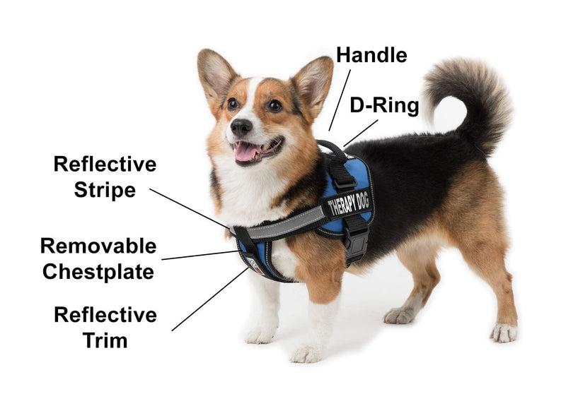 [Australia] - Dogline Unimax Multi-Purpose Dog Harness Vest with Therapy Dog Patches Adjustable Straps, Comfy Fit, Breathable Neoprene for Medical, Service, Identification and Training Dogs Large/28" to 38" Blue 