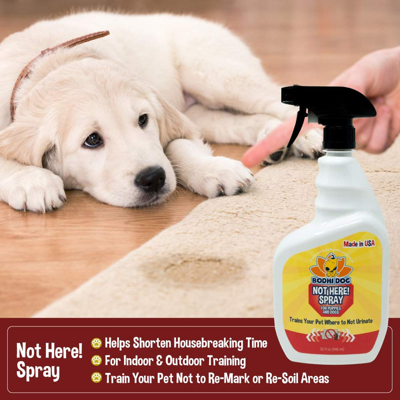 Bodhi Dog Not Here! Spray | Trains Your Pet Where Not to Urinate | Repellent & Training Corrector for Puppies & Dogs | for Indoor & Outdoor Use | No More Marking | Made in The USA 2 Pound (Pack of 1) - PawsPlanet Australia