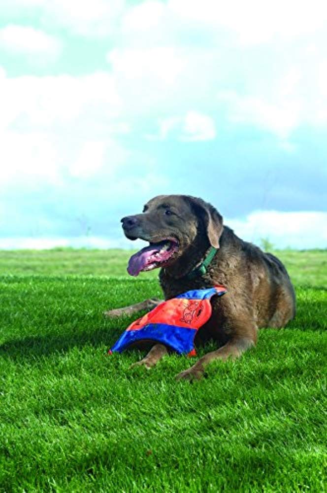 Chuckit Flying Squirrel Medium Medium (10 in x 10 in) - PawsPlanet Australia