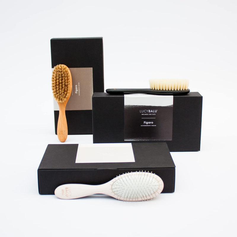 LucyBalu® cat brush for short hair & long hair | Fur brush for cats| Cat comb for grooming cats | Pet Hair Brush for Cats| Cat hair brush with natural bristles & wooden handle | oiled nature - PawsPlanet Australia