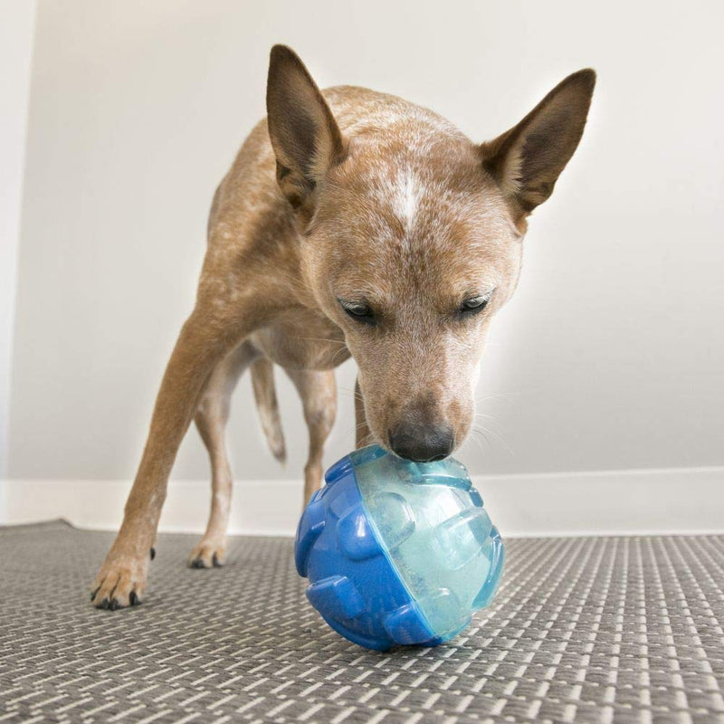 KONG – Rewards Ball – Particularly robust interactive treat dispenser – for large dogs - PawsPlanet Australia