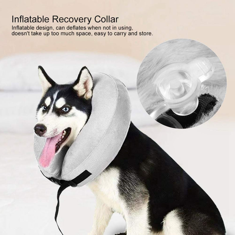 Salaty Safe Inflatable Recovery Collar for Pets, Inflatable Neck Protection Collar for Dogs, Bright, Environmentally Friendly, Durable for Dog Animals Post-Operative (M) m - PawsPlanet Australia