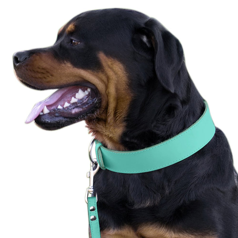 [Australia] - BRONZEDOG Handmade Genuine Leather Dog Collar, Puppy Leather Collar for Dogs, Small Medium Large, Pink Red Blue Green Turquoise White Yellow Neck Size 13" - 15" 