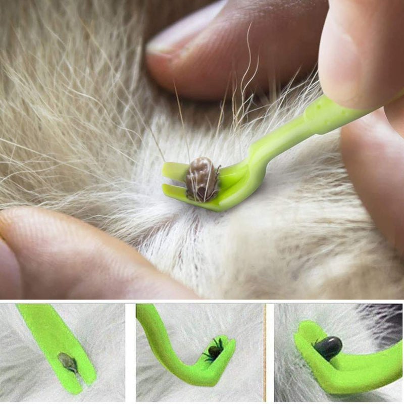 EasyULT 7Pcs Tick Remover Tool, Tick Remover Kit with Set of 5 Tick Hook, 2 Tick Removal Pen, Painlessly Tick Remover for Dogs, Cats, Humans(Green) Green1 - PawsPlanet Australia