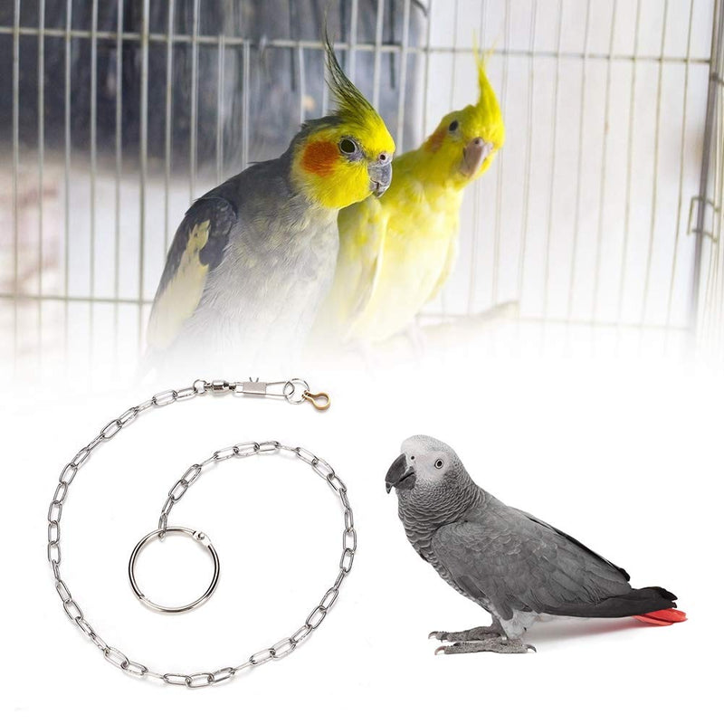 ViaGasaFamido Bird Leash, Stainless Steel Bird Foot Chain with Ring Parrot Ankle Foot Ring Anti-bite Outdoor Flying Training Rope(petit soleil) petit soleil - PawsPlanet Australia