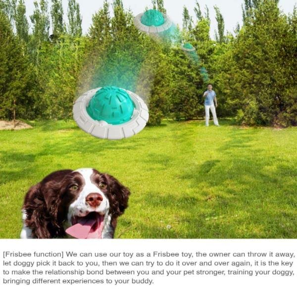 Dog Toys for Large Dogs Aggressive chewers Summer Dogs Ice Chewing Toys Dog Flying Disc Interactive Toys Dog Training Toy Blue - PawsPlanet Australia