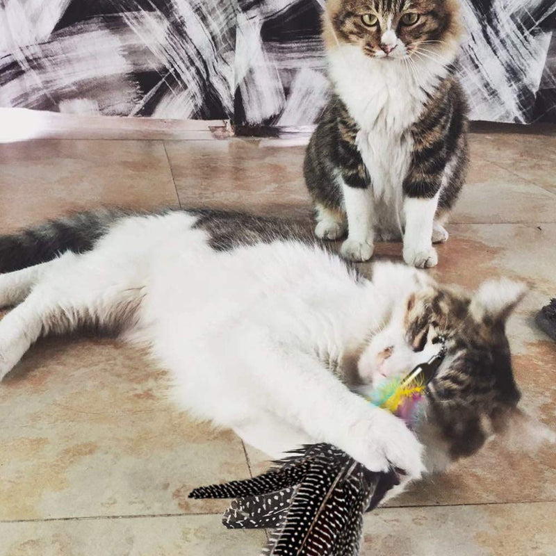 [Australia] - Highland Farms Select Handmade Natural Feather Cat Toy Da Bird Refills - Interactive Cat and Kitten Toy Only 6 Packs Feather Cat Toys 