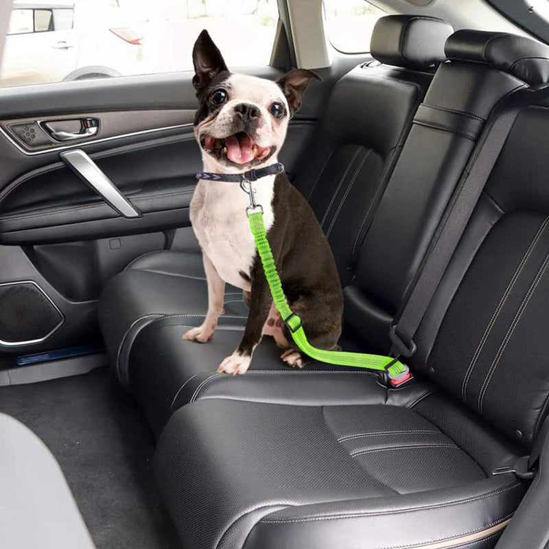 Greyoe Car Seat Belt for Dogs, Dog Seat Belt, 2 Pieces Pet Dog Cat Seat Belt Adjustable Car Harness Shock-Absorbing Elastic Bungee Buffer (Fluorescent Green) - PawsPlanet Australia
