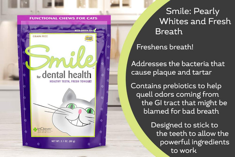 In Clover Smile Daily Dental Health Soft Chews for Cats, Support Healthy Teeth and Fresh Tongue with Catnip and Green Tea, Prebiotics, and Chlorophyll for Fresh Breath 10.5oz - PawsPlanet Australia