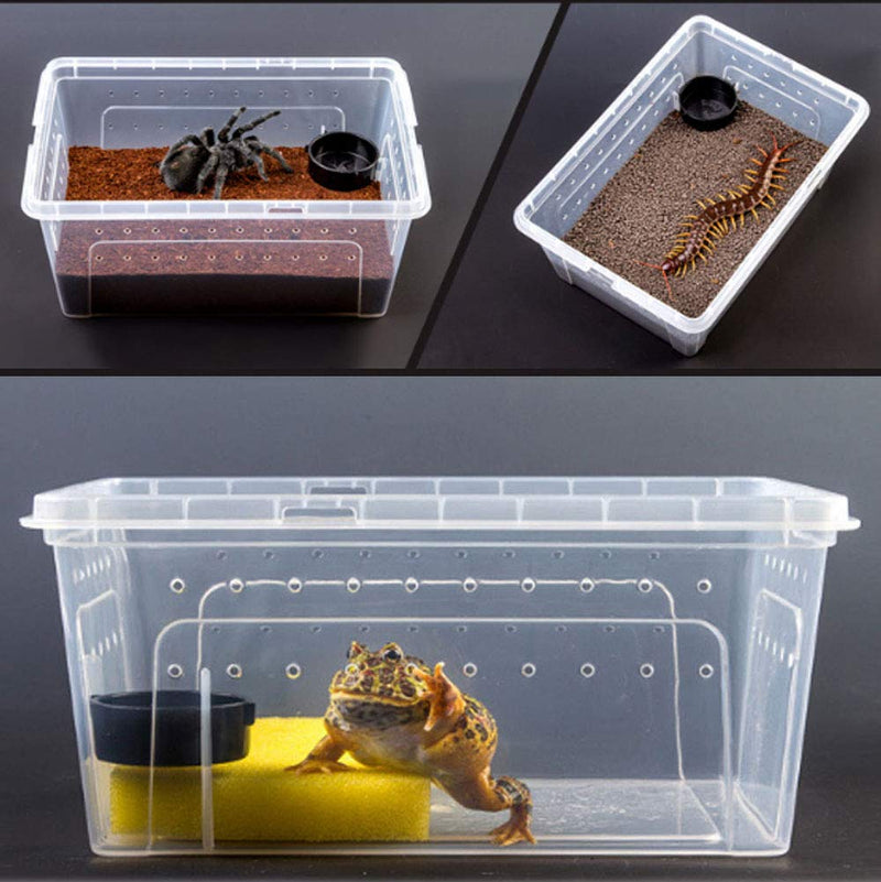 [Australia] - Reptile Small Snake Feeding Box Lizard Tarantula Habitat Cage Hatching Container Transparent Portable Plastic Mini Pet Houses for Scorpion Spider Frog 