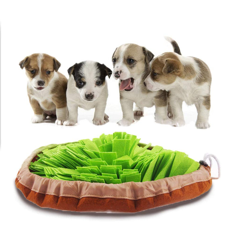 Snuffle Mat for Dogs Lick Mat Set, Dog Slow Eat Bowl Training Foraging, Fun to Use Design Durable and Machine Washable, Dogs Feeding Mat Travel Dog Treat Dispenser Snuffle Mat and Lick Pad Green - PawsPlanet Australia
