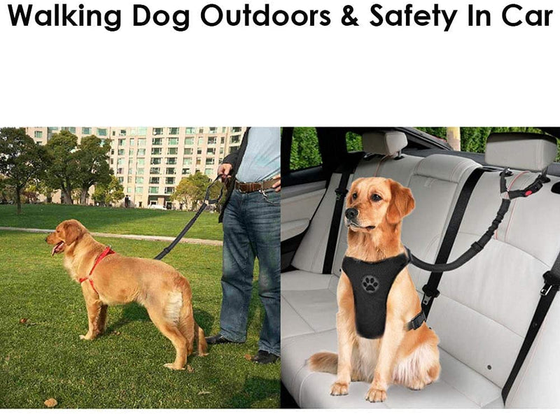 Dog Seat Belts For Cars - Dog Car Harness Adjustable - Headrest Dog Car Seat Belt Restraint Puppy - Elastic Pet Dog SeatBelt harness - Strong Leads Harness for Dogs Cats and Pets (MAIN) (BLACK) BLACK - PawsPlanet Australia