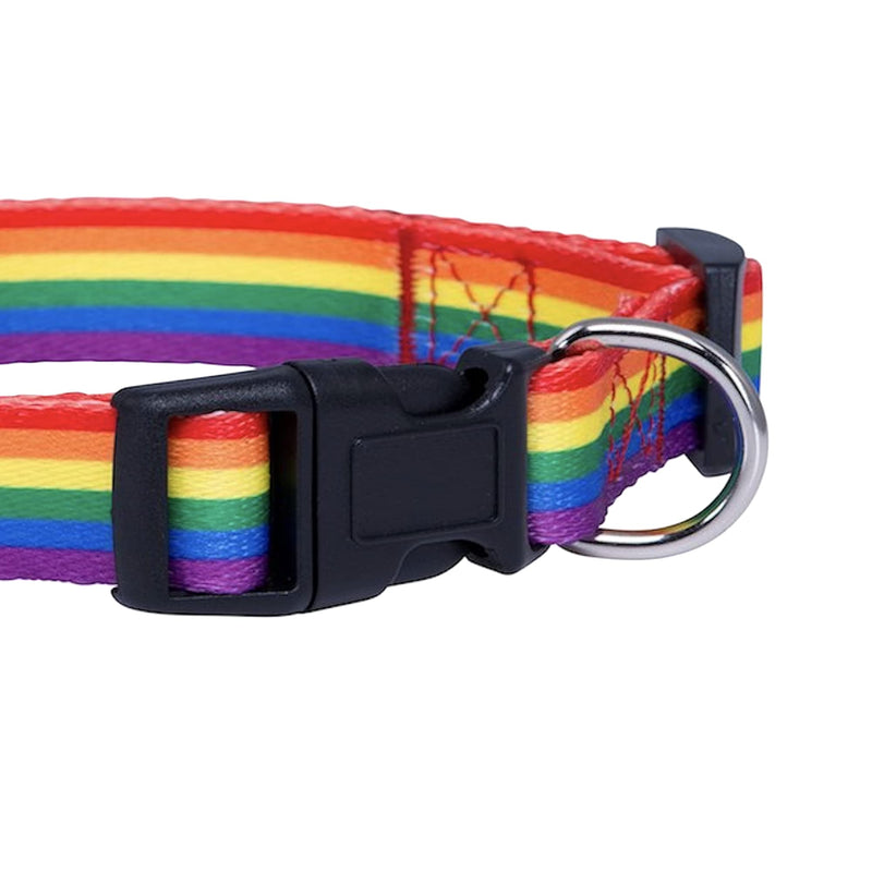 Native Pup Rainbow Flag Dog Collar Gay Pride Stuff for Parade, LGBTQ Flags Equality Pet Apparel Decor Gift and LGBT Ally Accessories (Small) Small - PawsPlanet Australia
