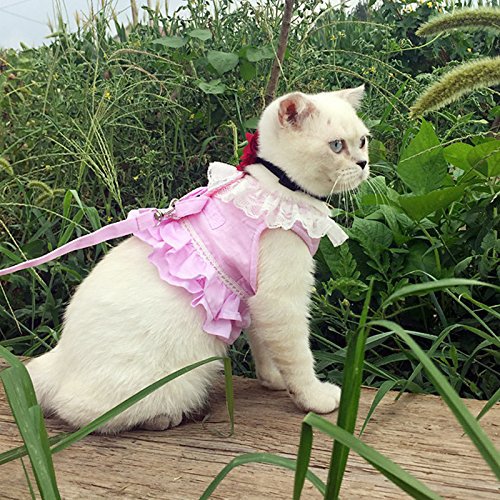 Da Jia Inc Breathable Cat Lace Dress Harness with Matching Lead Leash Set(Pink,S) S Pink - PawsPlanet Australia