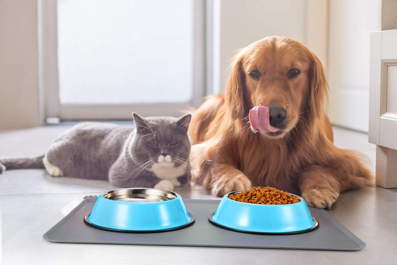 Podinor Stainless Steel Dog Bowls, Food and Water Non Slip Anti Skid Stackable Pet Puppy Dishes for Small, Medium and Large Dogs (2 Pack) 1.5 Cup/12 oz ea. Blue - PawsPlanet Australia