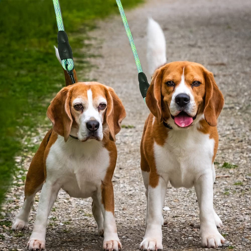 Lvjkes Double Leash Dog Leash, Dog Leash with Two Ropes, Double Dog Leash Removable Anti-Tangle Protection Comfortable Walking Training for Two Medium or Large Dogs (Green) Green - PawsPlanet Australia