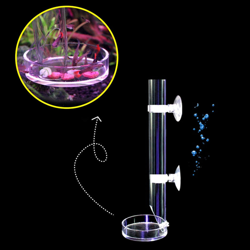 POPETPOP Clear Acrylic Assembled Shrimp Feeder Tube Tray for Fish Tank Aquarium Crystal Shrimp - PawsPlanet Australia