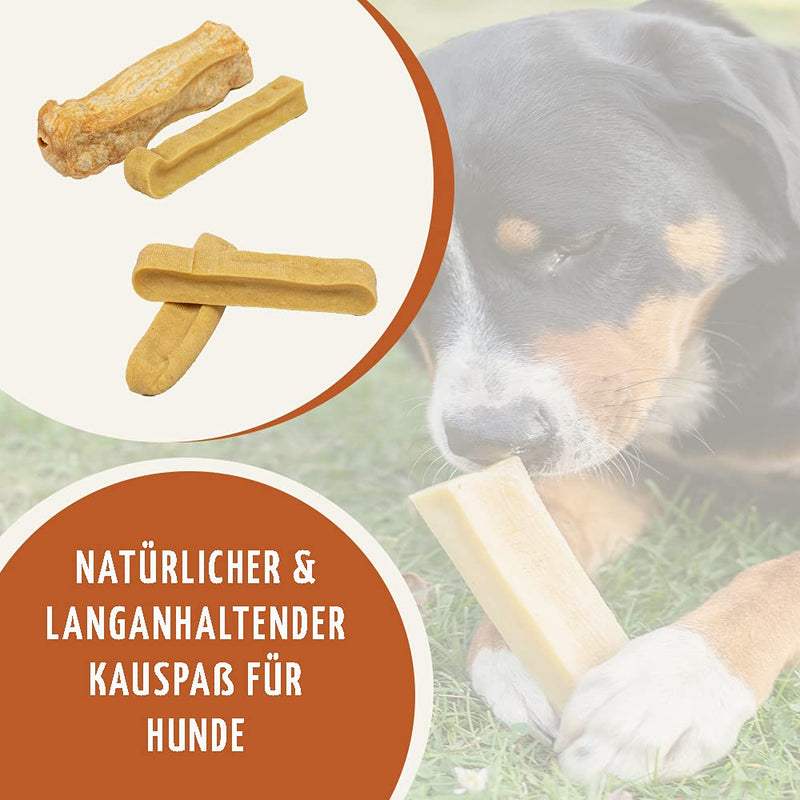 Wildfang® Chew Stick made of hard cheese for your four-legged friend I Dog toy Cheese Chew Bone - Chew Toy - Dental Care & Masticatory Muscle Training I Durable & Natural Chew Stick for your Dog M - PawsPlanet Australia