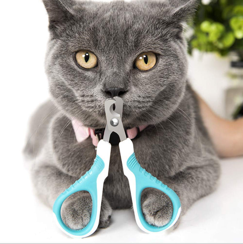 [Australia] - WeTest Upgraded Pet Nail Clippers and Trimmer 2 Pack Blue 