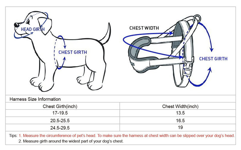 [Australia] - Blueberry Pet 8 Colors Soft & Comfortable 3M Reflective Strips Nylon Neoprene Padded Training Dog Harness (24.5" - 29.5") Chest Girth Citrus Lime 