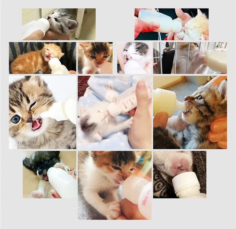 DoubleWood Pet Nursing Bottle Kits Nursing Bottle Kits Replacement Nipple Cat Feeding Bottle for Newborn Kittens, Puppies, Rabbits, Small Animals - PawsPlanet Australia