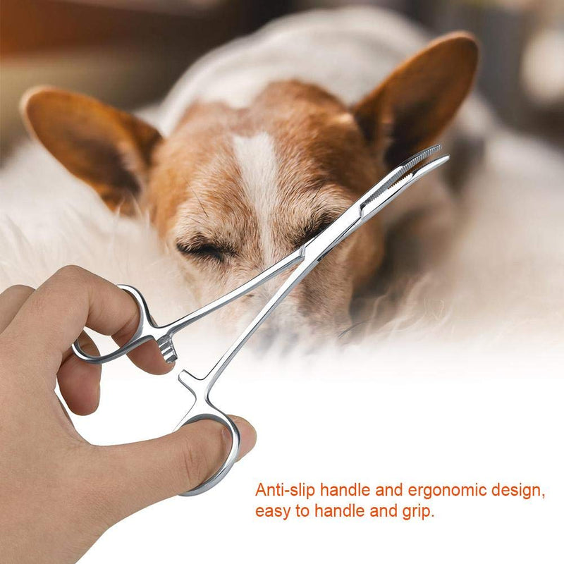 Hemostat Forceps, Stainless Steel Pet Dog Grooming Ear Cleaning Straight Clamp with Curved Tip Ear Hair Tweezers Forceps Kit(L) L - PawsPlanet Australia