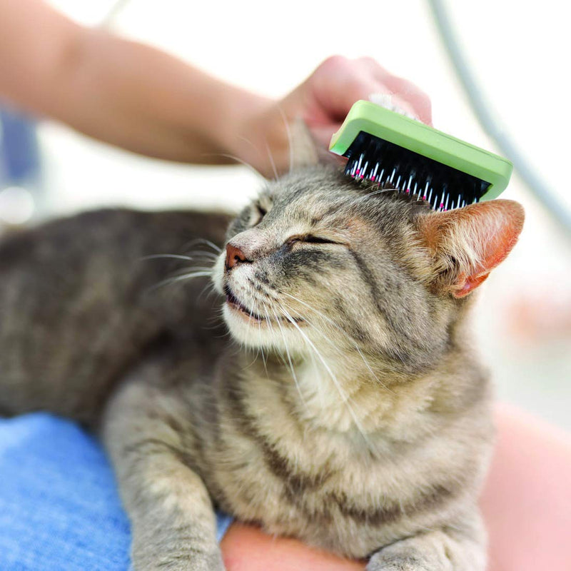 [Australia] - Safari Pet Products CSFW405 Complete Brush for Cats 