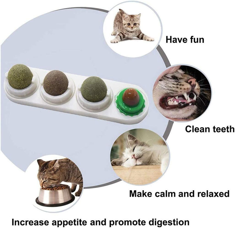 PNNNU catnip toys for cats, Catnip Toys 4 in 1 Self-Adhesive Edible Catnip Toys,Rotatable Licking Treats Stick-on Wall Toy for Cats Kitten - PawsPlanet Australia