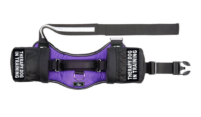 [Australia] - Therapy Dog in Training Harness with Removable Saddle Bag Backpack Harness Carrier Traveling. 2 Removable Patches. Please Measure Dog Before Ordering.… Girth 28-38" Purple 