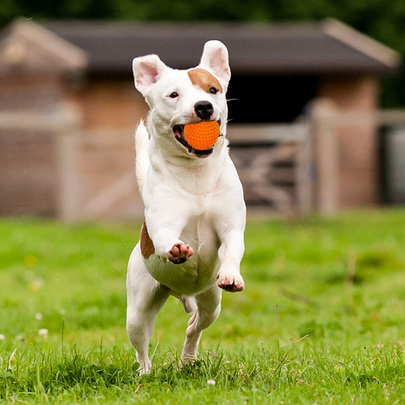 [Australia] - KOOLTAIL Interactive Squeaky Dog Ball Toys Set - 5 Different Functions Balls - Food Treat Dispensing Toys Chew Teething Ball Tennis Ball IQ Puzzle Fetching Resistant Rubber Ball for Medium Large Dogs 