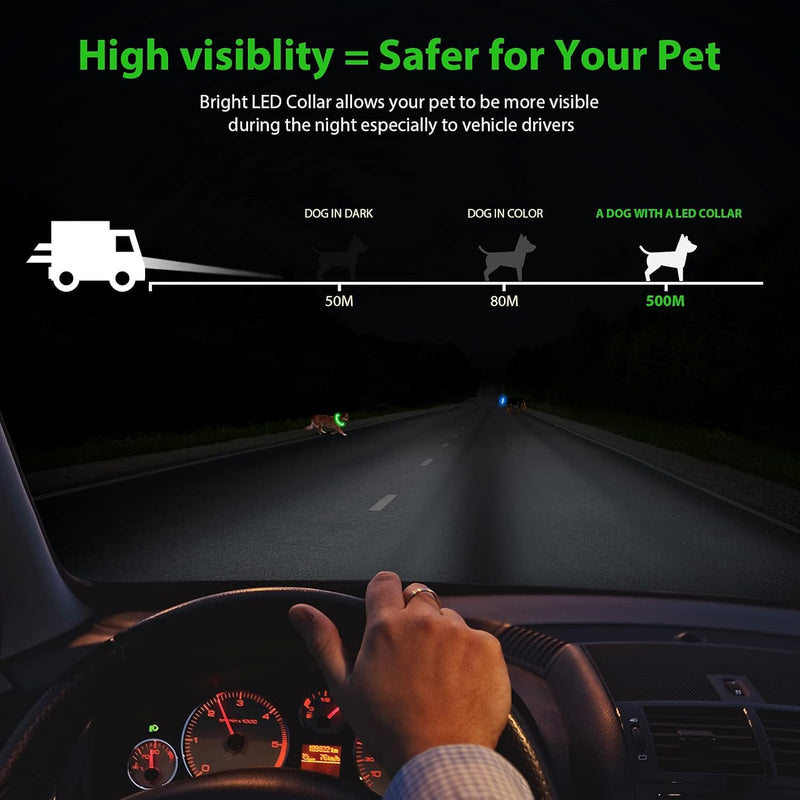 HezzLuv LED Dog Light Collar, USB Rechargeable Safety Collar, Adjustable Length, Suitable for Dogs and Cats (3 Lighting Modes) Green - PawsPlanet Australia