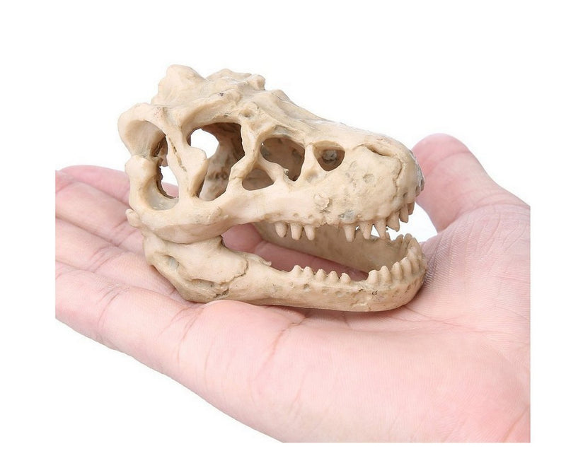 XIGUI Aquarium Decor Resin Emulational Skull - dinosaur skull skeleton ornament-fish tank small skull aquarium decoration cave landscape pet reptile house - PawsPlanet Australia