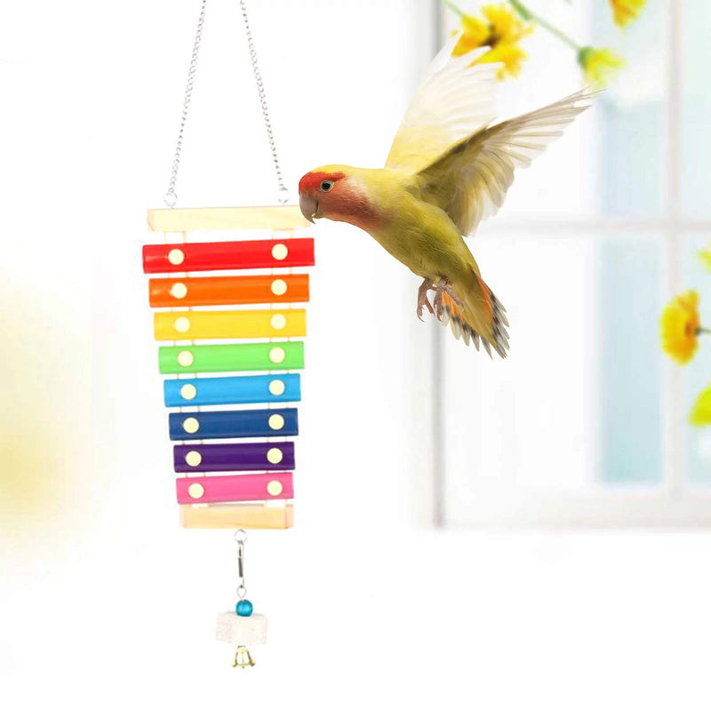 Chicken Toy,Chicken Xylophone Toy and Parrot Skewer Hen Musical Toy Hanging Chicken Pecking Toys Parrot Skewer Bird Food Holder Chicken Coop Pecking Toy with 8 Metal Keys and Grinding Stone for Chick - PawsPlanet Australia