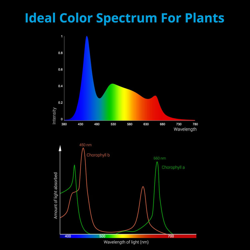 NICREW ClassicLED Plus Planted Aquarium Light, Full Spectrum LED Fish Tank Light for Freshwater Plants 12 - 18 in - PawsPlanet Australia