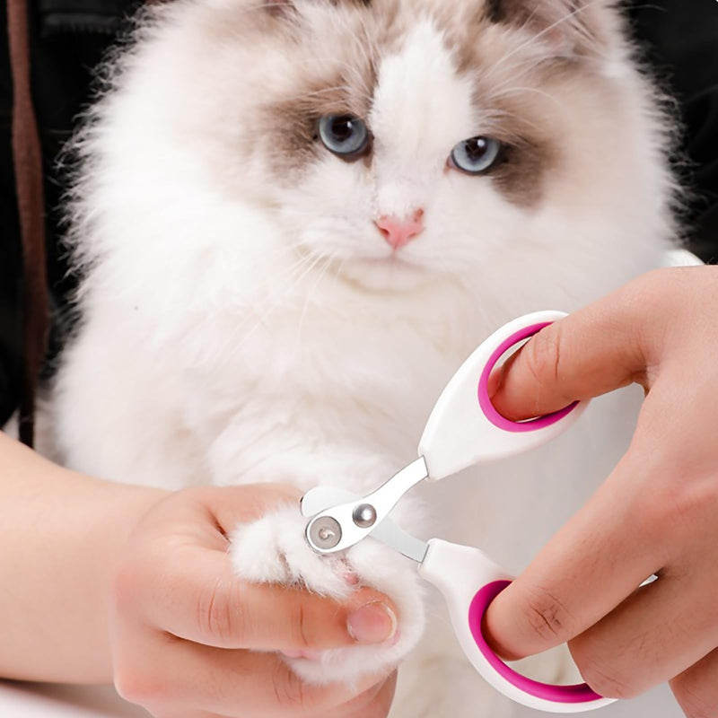 Leikedun Professional 2mm Hole Tapered Cat Nail Clipper Stainless Steel for Puppies, Rabbits, Birds and Small Animals with 2 Claw Files - PawsPlanet Australia