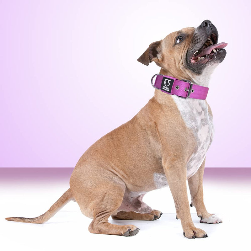TSPRO Tactical Dog Collar, 3.8cm Wide, Military Grade, Strong Dog Collar, Thick Dog Collar, Heavy Duty Metal Buckle, Dog Collar Purple-M(Purple-M) Size M-(adjustable 44.5-52cm) - PawsPlanet Australia