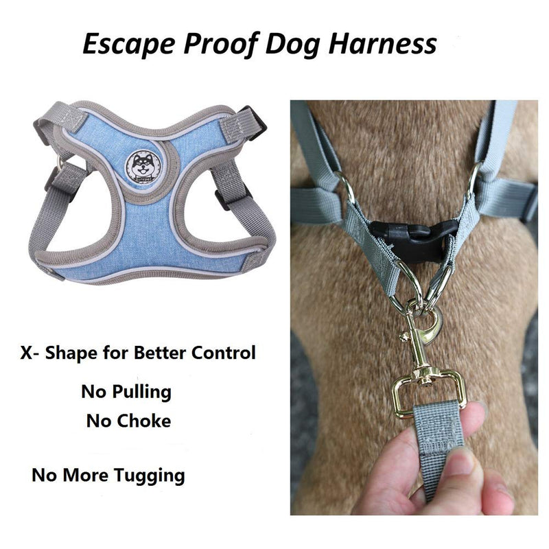 Anlitent No Pull Dog harness for Small Dogs Puppies, Bakc Slip 4 Clips Adjustable Lightweight Pet Vest Service Harness Escape Free Easy Fit for Puppy Indoor Walking Jogging Training Blue Boy XS - PawsPlanet Australia