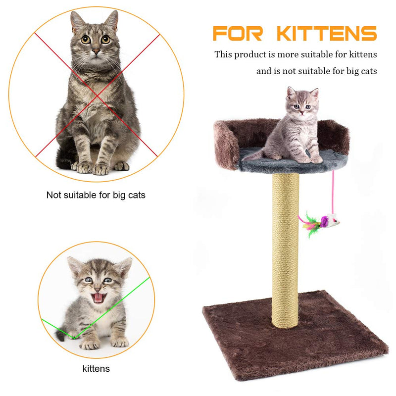 [Australia] - Zubita Small Cat Tree, Cat Tower Scratching Posts with Hanging Toys for Kittens Activity Centre Plush Carpet and Sisal Scratcher Post Medium 