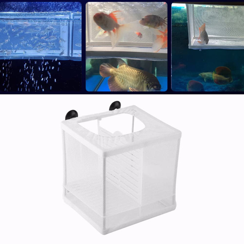 Fish Incubator Mesh Box Fish Tank Isolation Box Fish Breeder Net Fry Hatchery Incubator with Suction Cup Isolation Board - PawsPlanet Australia