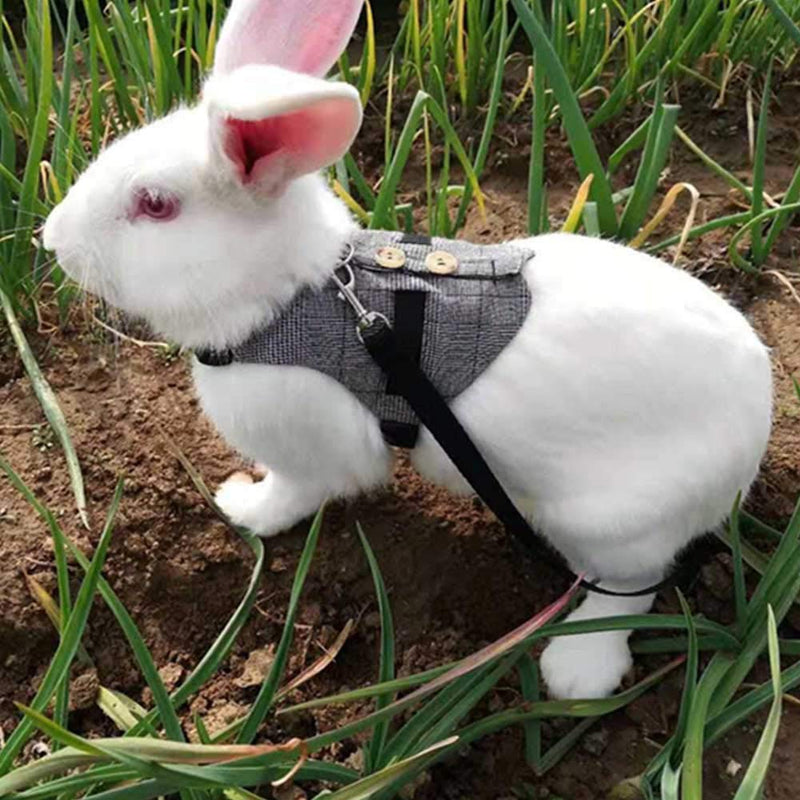 Pssopp Rabbit Harness Leash Cute Bunny Vest Harness and Leash Set With Button Decor Pets Adjustable Formal Suit Style Plaid Stripe Harness Grey(S) S - PawsPlanet Australia