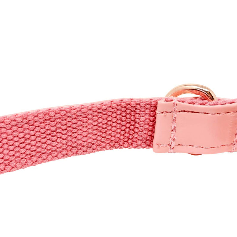 Animal Outfitters UK Rose Gold Candy Collection Vegan | Faux Leather Dog | Puppy Collar | Adjustable for Small or Large Dogs (Small) - PawsPlanet Australia