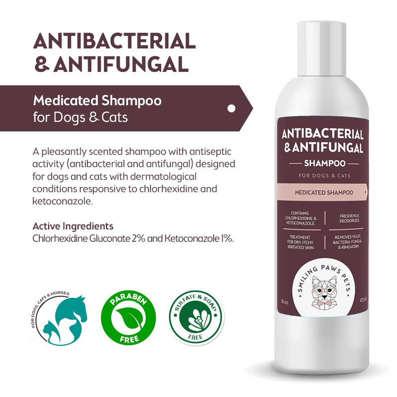 Antibacterial & Antifungal Shampoo For Dogs & Cats – Contains Ketoconazole & Chlorhexidine - Dog Skin Yeast Infection Treatment - Effective Against Ringworm, Pyoderma, Bacteria & Fungus. 16oz, 2 Pack - PawsPlanet Australia