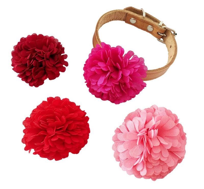 [Australia] - JpGdn Dog Flower Collar Charms Slides Accessories for Female Girls Small Medium Dogs Cat Puppy Bowknot Grooming Decoration Pack of 6 in Mixed Color 