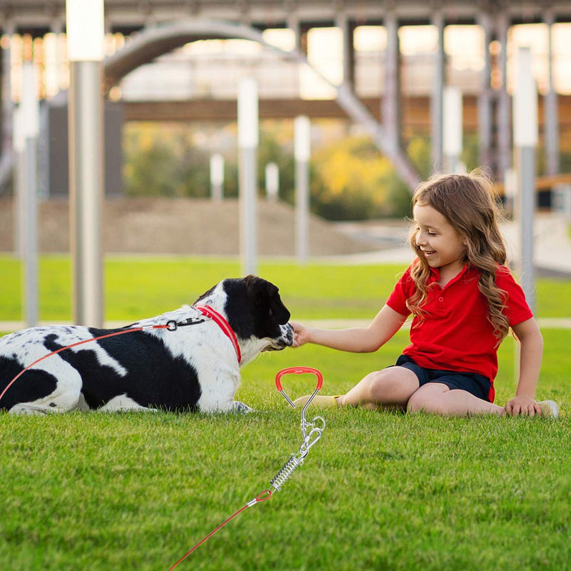 PUPTECK Dog Stake and Cable - Dog Tie Out Cable for Yard - 125lbs Heavy Duty Stainless Steel Stake and 40ft Wire Rope Dog Leash with Buffer Spring for Beach, Camping, Outdoor - PawsPlanet Australia