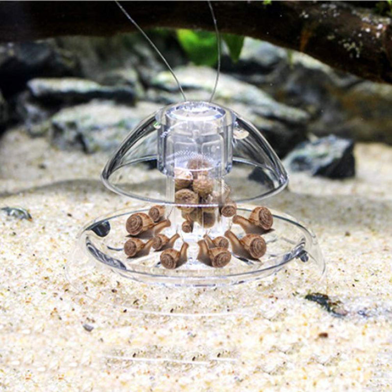 POPETPOP 2pcs Snail Boxes for Fish Tank Aquarium 8cm Size 1 - PawsPlanet Australia