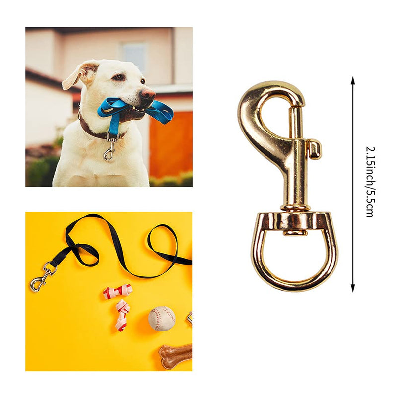 12 PCS Dog Leash Clasp Swivel Snap Hooks, Metal Durable Eye Bolt Spring Hook, Multipurpose Mini Dog Leash Clips/Keychain, Best for Spring Pet Buckle, Key Chain for Linking Dog Leash Collar - PawsPlanet Australia