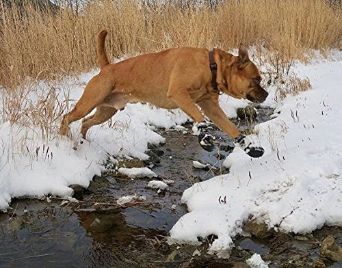 [Australia] - EXPAWLORER Waterproof Dog Boots Reflective Non Slip Pet Booties for Medium Large Dogs Black 4 Pcs 2(2.28"x1.89") 