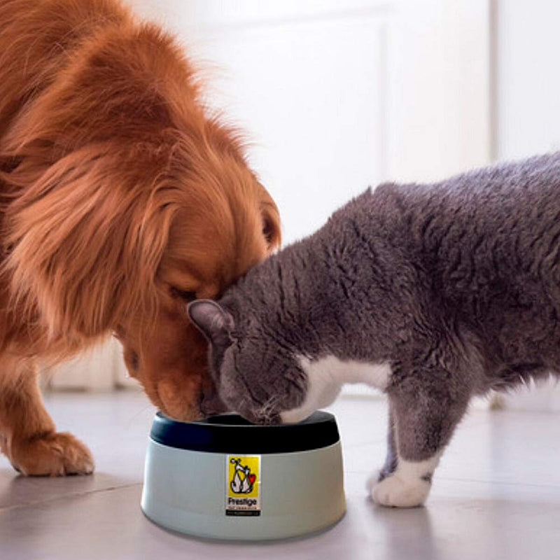 Road Refresher Non Spill Water Bowl Grey Small - PawsPlanet Australia
