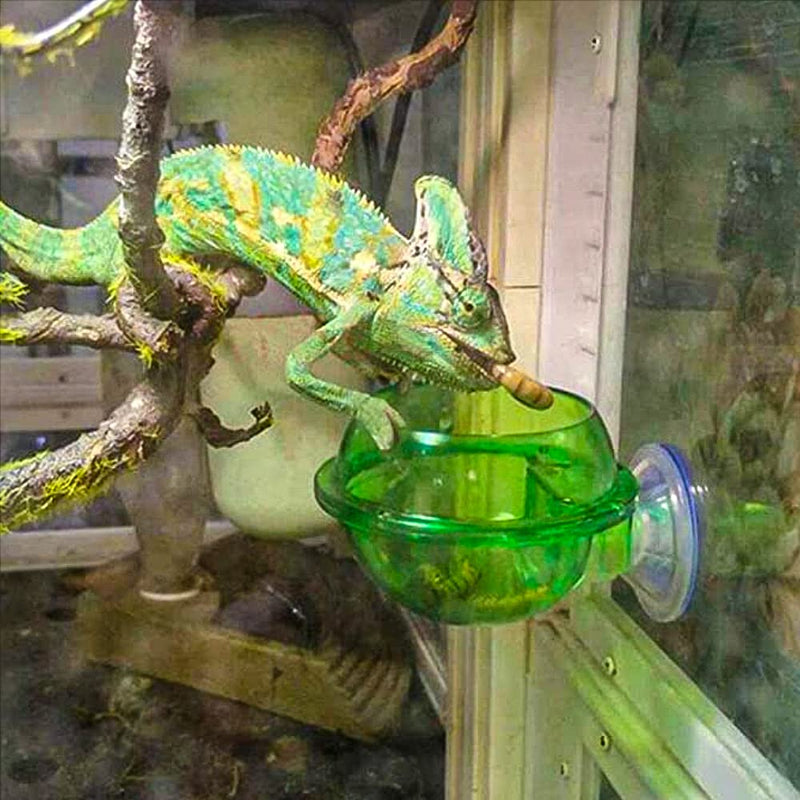 IAFVKAI Suction Cup Gecko Feeder Anti-Escape Amphibians Reptile Food Feeding Bowl for Chameleon Tortoise Gecko Snakes Iguana Lizard - PawsPlanet Australia
